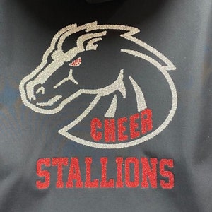 Cheer Jackets,customize for your team image 9