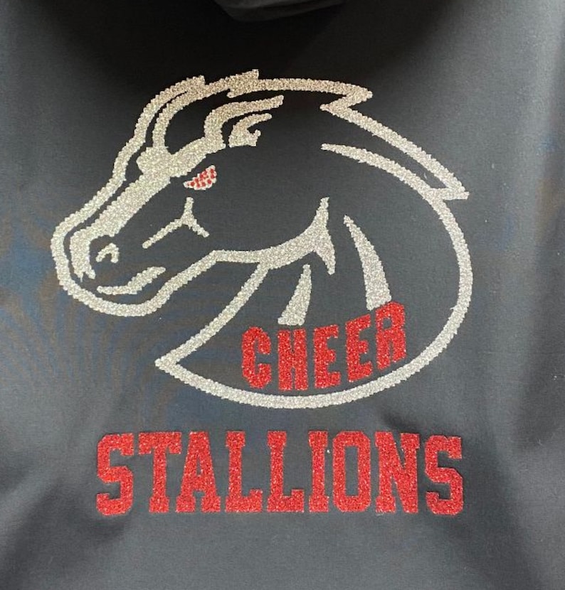 Cheer Jackets,customize for your team image 9