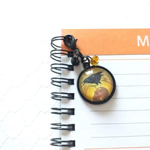 Puede incluir: Un marcap&aacute;ginas de metal negro con un encanto redondo de vidrio que presenta un cuervo negro posado sobre una calabaza. El encanto est&aacute; unido a una cadena de metal negro con una peque&ntilde;a cuenta naranja.