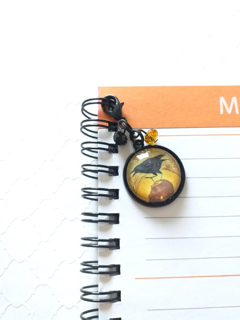 Puede incluir: Un marcap&aacute;ginas de metal negro con un encanto redondo de vidrio que presenta un cuervo negro posado sobre una calabaza. El encanto est&aacute; unido a una cadena de metal negro con una peque&ntilde;a cuenta naranja.
