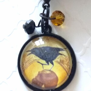 Puede incluir: Un amuleto de metal negro con una c&uacute;pula de vidrio que presenta una ilustraci&oacute;n vintage de un cuervo negro posado sobre una manzana marr&oacute;n. El amuleto est&aacute; adornado con cuentas negras y &aacute;mbar.