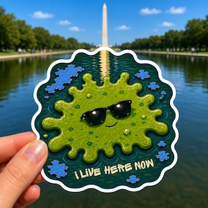 May include: A die-cut sticker featuring a green, amoeba-like character wearing black sunglasses. The character is centered on a dark teal background with blue, textured, cloud-like shapes. The text "I LIVE HERE NOW" is printed in white at the bottom.