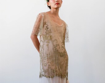 antique 1920s mesh lace embroidered sheer dress