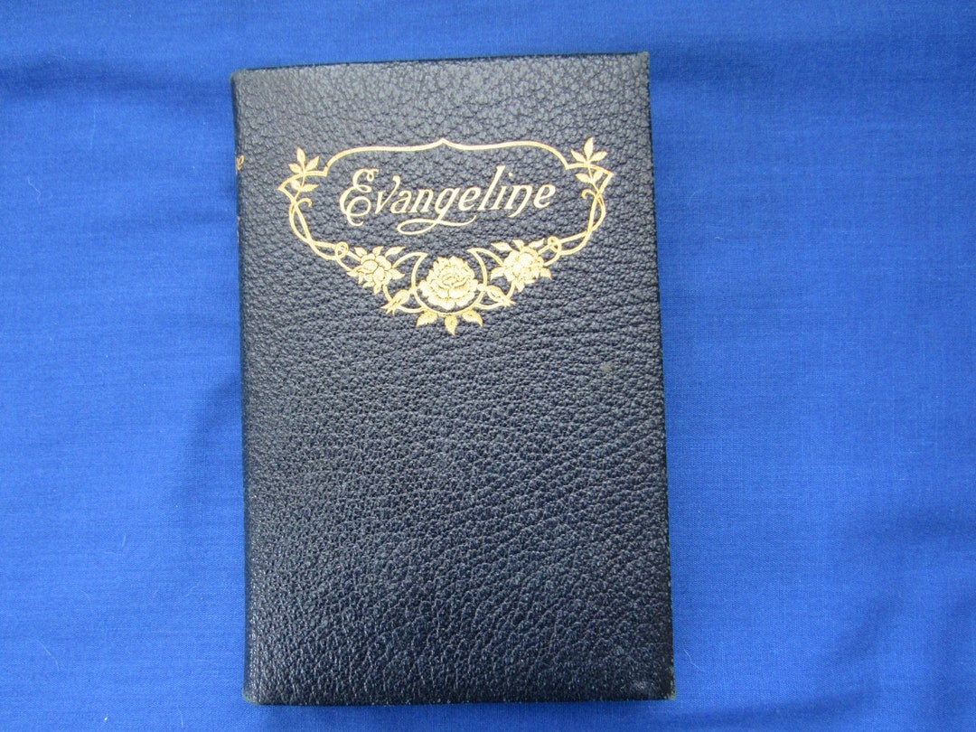 Longfellow Book Evangeline A Tale of Acadia 1893 Thomas Crowell New ...