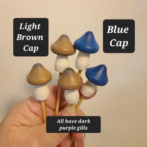 K&ouml;nnte beinhalten: F&uuml;nf h&ouml;lzerne Pilzfiguren mit braunen und blauen bemalten H&uuml;ten. Die Pilze haben wei&szlig;e Stiele und dunkelviolette Lamellen. Der Text "Light Brown Cap" und "Blue Cap" ist auf dem Bild zu sehen.