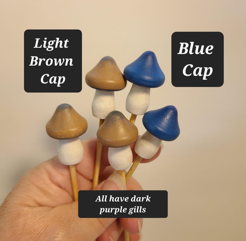 K&ouml;nnte beinhalten: F&uuml;nf h&ouml;lzerne Pilzfiguren mit braunen und blauen bemalten H&uuml;ten. Die Pilze haben wei&szlig;e Stiele und dunkelviolette Lamellen. Der Text "Light Brown Cap" und "Blue Cap" ist auf dem Bild zu sehen.