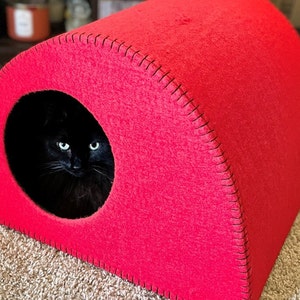 Fun Cat Bed (cat not included)