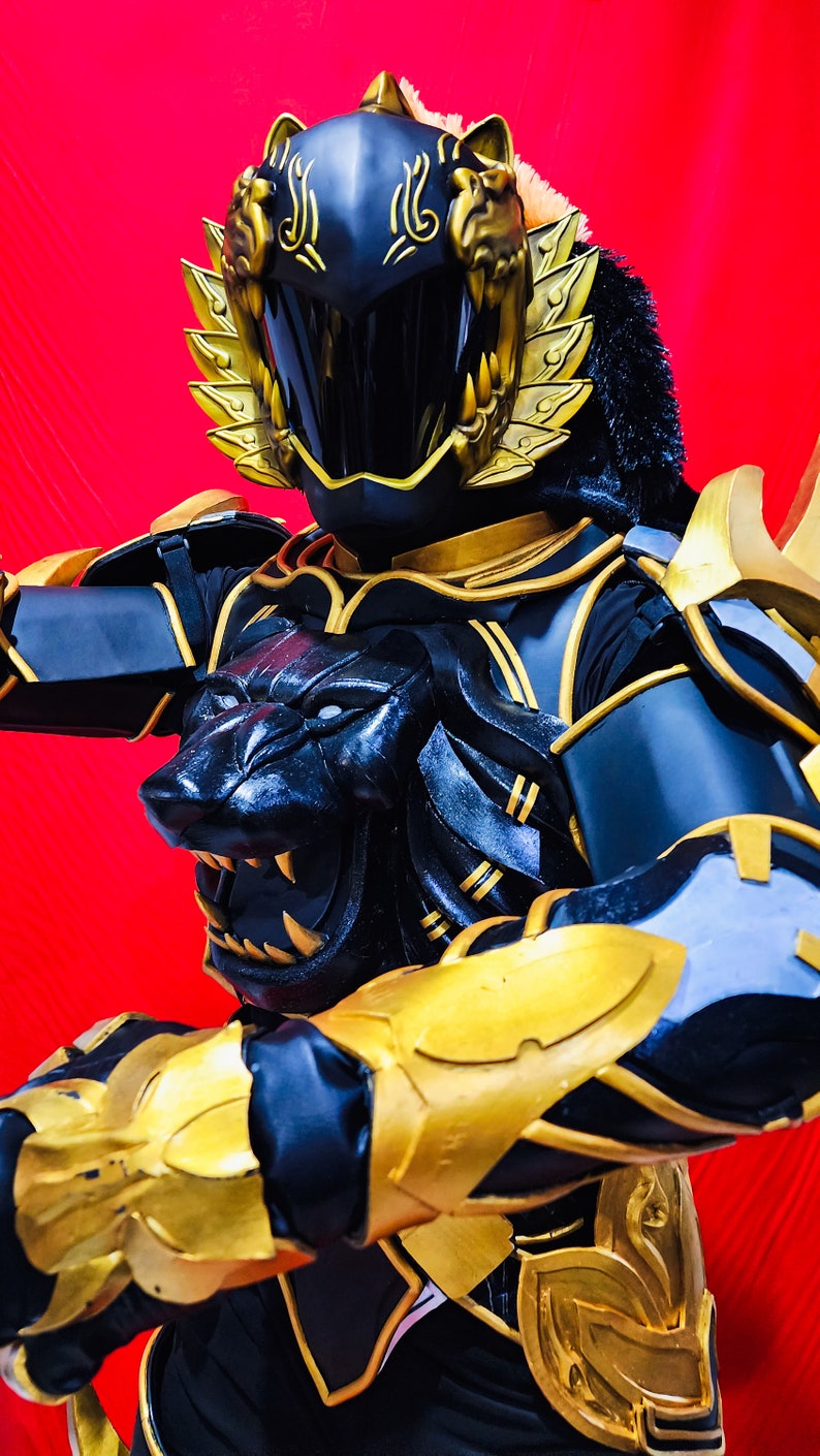 Dai Shi Power Rangers Costume [CUSTOM SIZE] - Jungle Fury / Rio ...