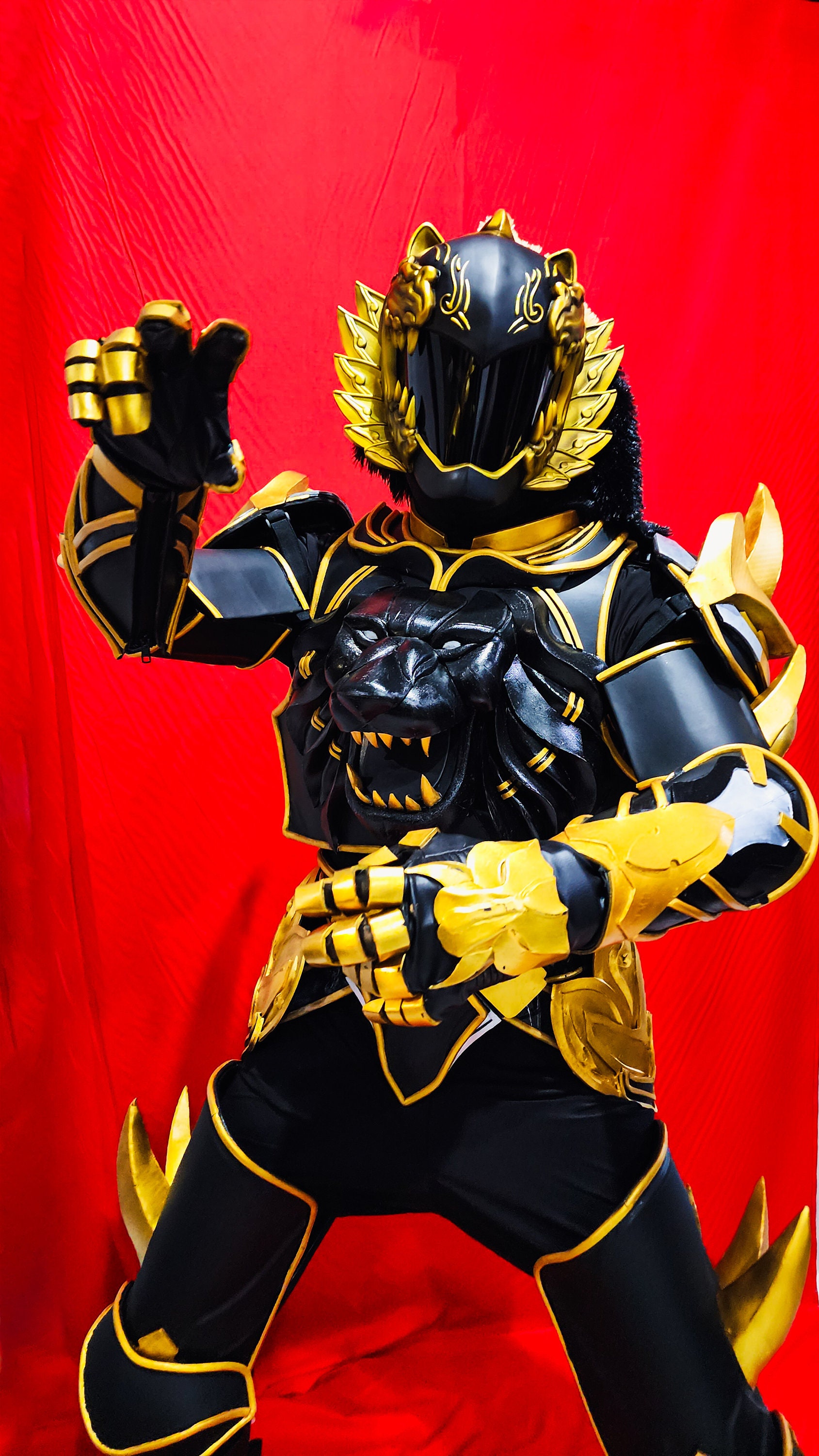 Dai Shi Power Rangers Costume [CUSTOM SIZE] - Jungle Fury / Rio ...
