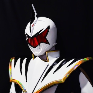 White Dino Ranger set costume: [CUSTOM SIZE]