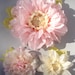 see more listings in the Giant flowers section