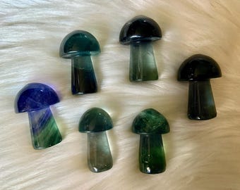 Random Pull Fluorite Mushrooms -