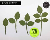 Download Paper Flower Templates