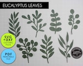 Download Paper Flower Templates
