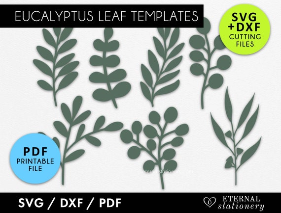 Eukalyptus Blatt SVG Bundle: Blumen Papierschnitt