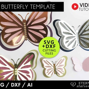 3D Butterfly svg, Butterfly SVG, Butterfly template, Layered Butterfly svg, Butterfly wall decor, Svg files for cricut, svg bundle