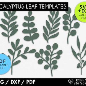 7x Eucalyptus Leaf svg, hojas svg, hoja svg, greenery svg, floral svg, hoja de papel svg, svg para cricut, glowforge svg, limas cortadas con láser