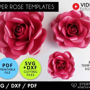 Fiori di carta svg, Modello di rosa di carta piccola, Fiori di carta, Modello di rosa, Svg rosa, Sfondo di fiori, Modello di fiore di carta, cricut svg