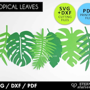 Tropical Leaf svg, Monstera svg, leaves svg, leaf svg, Paper flower leaves, Paper Leaf svg, glowforge svg, laser cut files, greenery svg