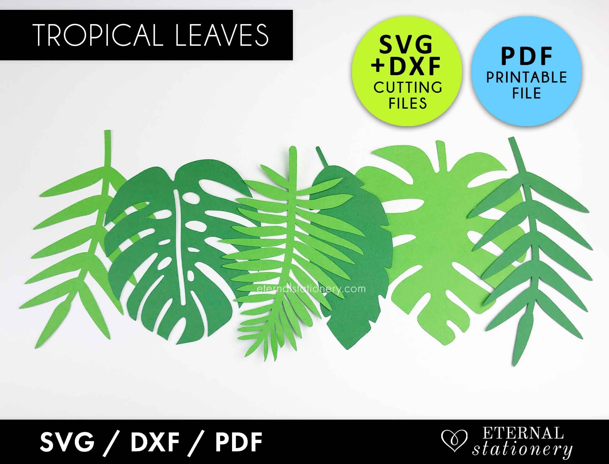 Tropical Leaf Svg Monstera Svg Leaves Svg Leaf Svg Paper - Etsy UK