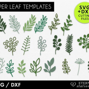 20 Hand Drawn Leaf SVG Bundle: Floral & Eucalyptus