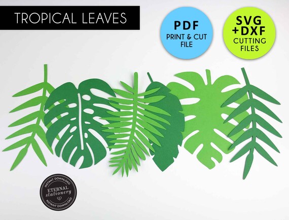 Download Free Tropical Leaf Template Svg Pdf Dxf Tropical Leaf Svg Etsy SVG Cut Files