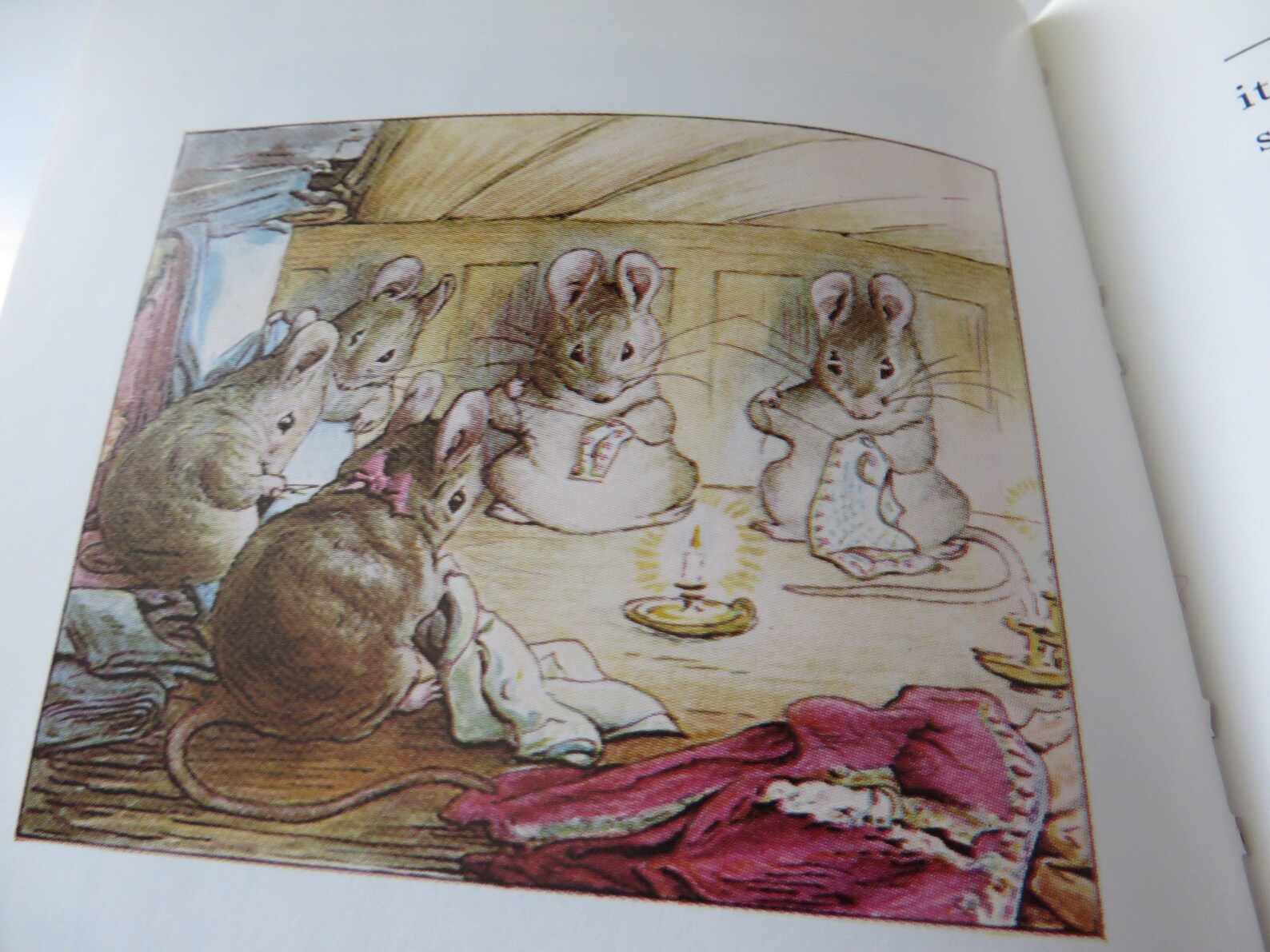 beatrix potter the tailor of beatrix potter the tailor of