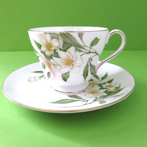 Vintage Shelley Syringa Teacup and Saucer: Windsor Shape