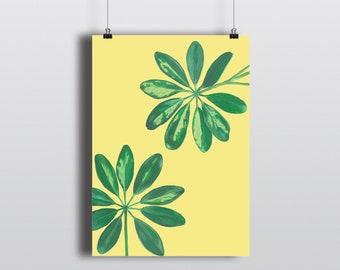 A4 Schefflera tropical leaf Print