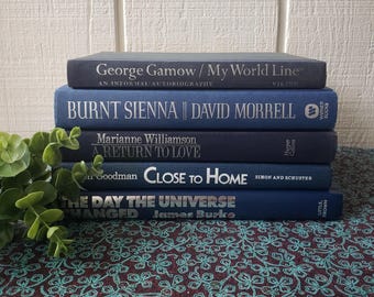 Blue Vintage Hardcover Book Set: Silver Lettered Decorative Books