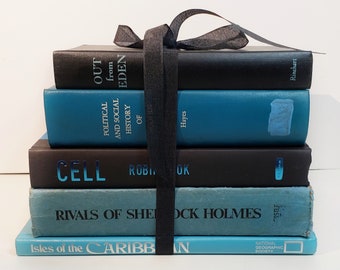 Turquoise Blue and Black Collection of Used and Vintage Books. Old books. Home library.