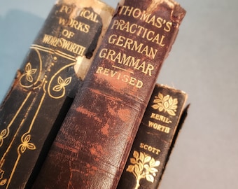 Shabby Leather Bound Antique Books. Deep Red / Navy Blue Art Nouveau Bindings. Old Vintage Classics. 19th Century Poetry Literature German
