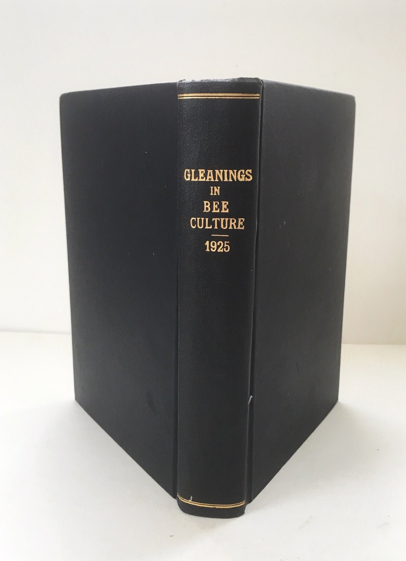 Gleanings in Bee Culture Antique Magazine, Bound Run for the Year 1925. Illustrated Apiculture Agriculture Honey Beekeeping Plants Flowers.