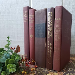 Red/rust Books Set of Rust Orange and Brick Red Colored Vintage Books. Instant Library ...