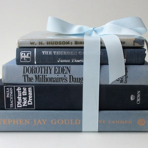 Pretty Blue Books. Decorator&#39;s set of vintage hardcover books bound in shades of light and dark blues.