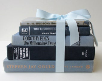 Vintage Blue Hardcover Book Set: Decorative Book Collection
