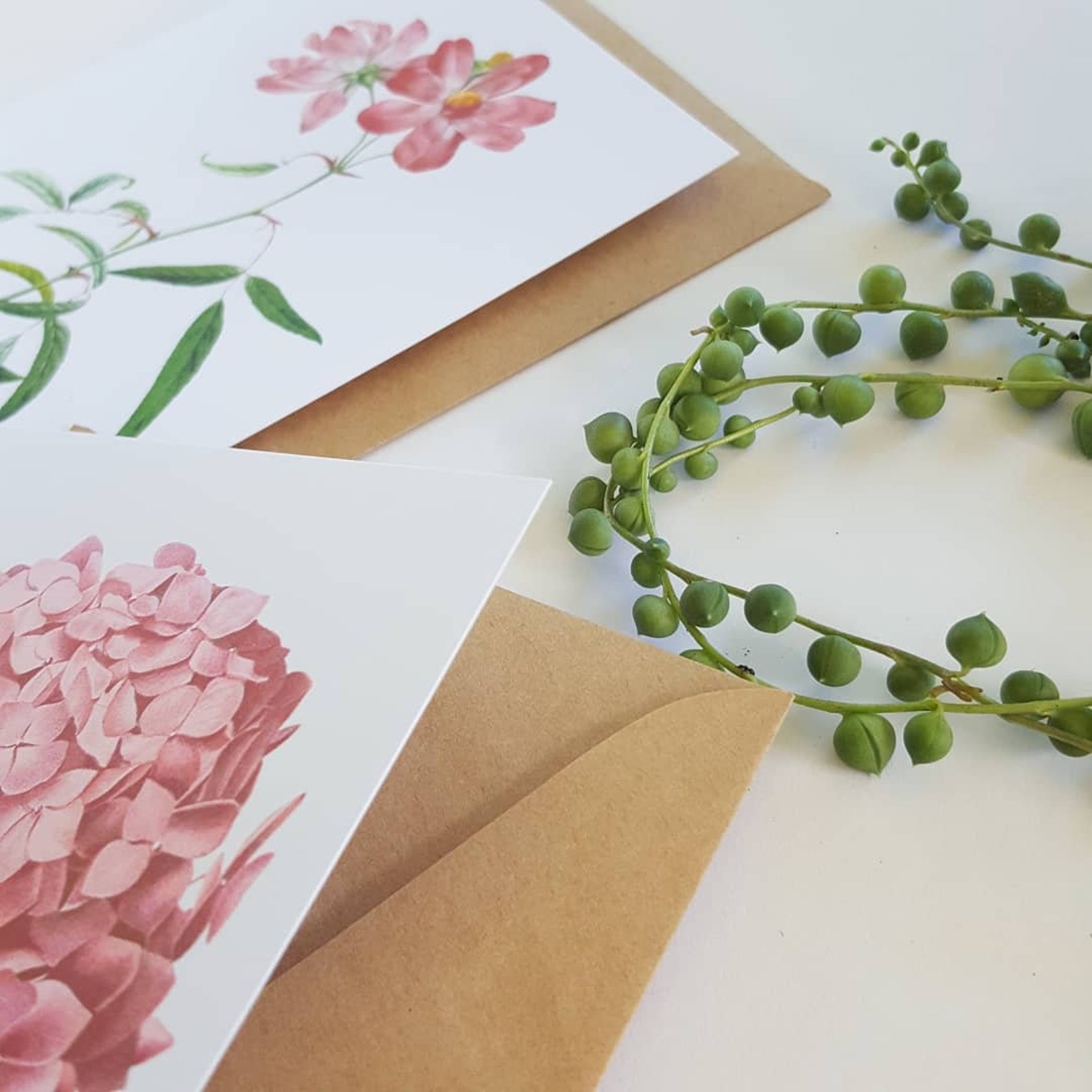 Botanical Floral Note Cards set Etsy
