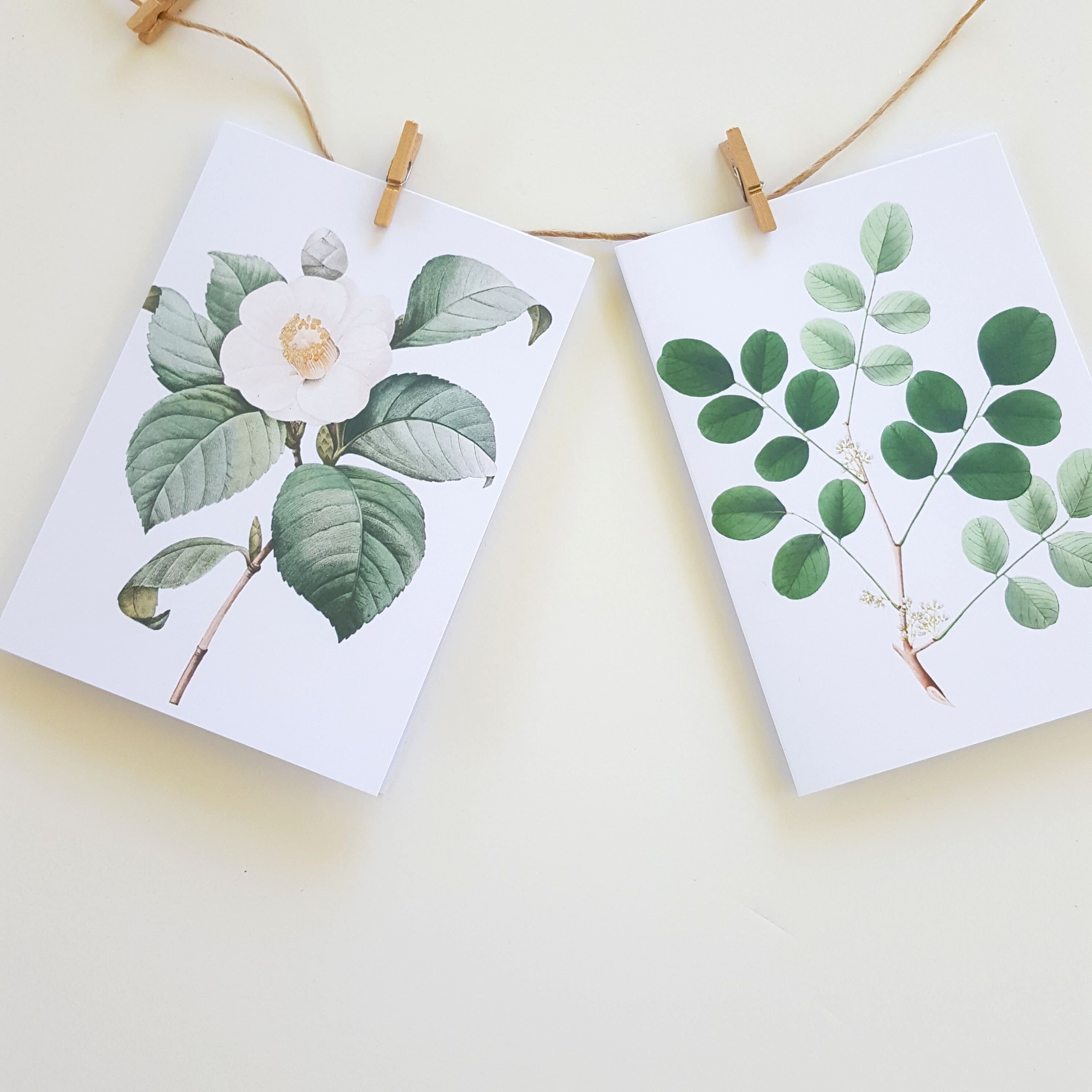 Botanical Floral Note Cards Stationery Note Card Set Etsy