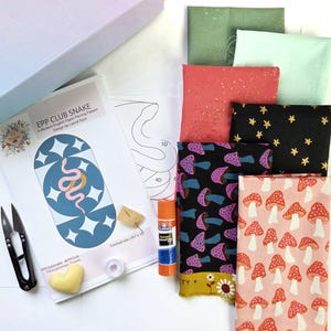 EPP Club Snake Modern EPP Box Kit Quilt kit #7