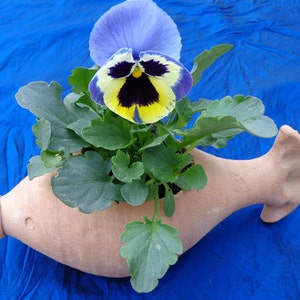 Fish Pottery planter, Plant pots, Ceramic flower pots, Planter pots, Flower pots, Planter and pots, Indoor planters, Garden pots, Fish Clay