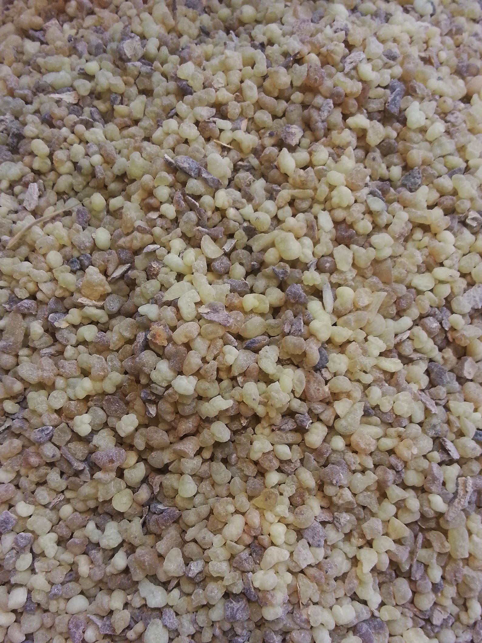 JERUSALEM INCENSE PURE Incense 50 Grams Scented Incense Etsy