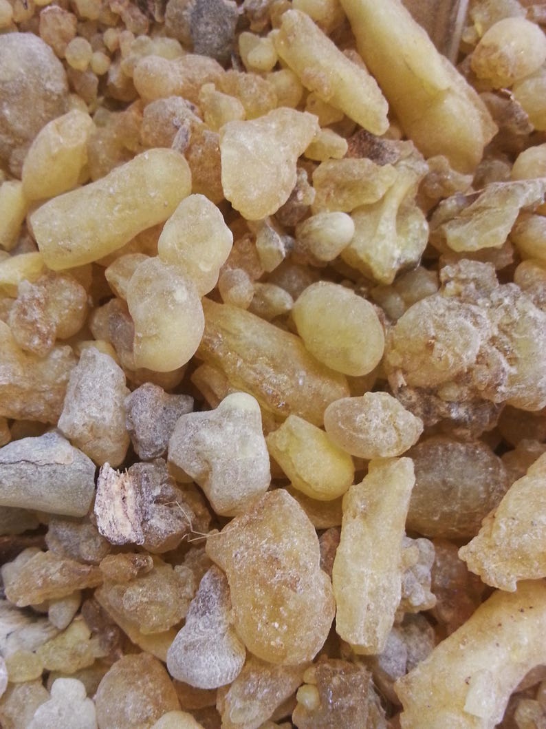 FRANKINCENSE Natural Incense Jerusalem Incense 50 Grams Etsy