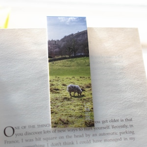 Scotland&#39;s Countryside Photo Magnetic Bookmark | Nature | Landscape Photography | Lambs | Farm Life | Outdoors | Scottish Gifts | Handmade