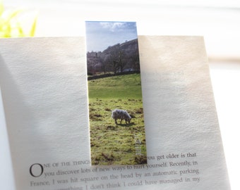 Scotland Lambs Photo Magnetic Bookmark: Scottish Gift, Handmade