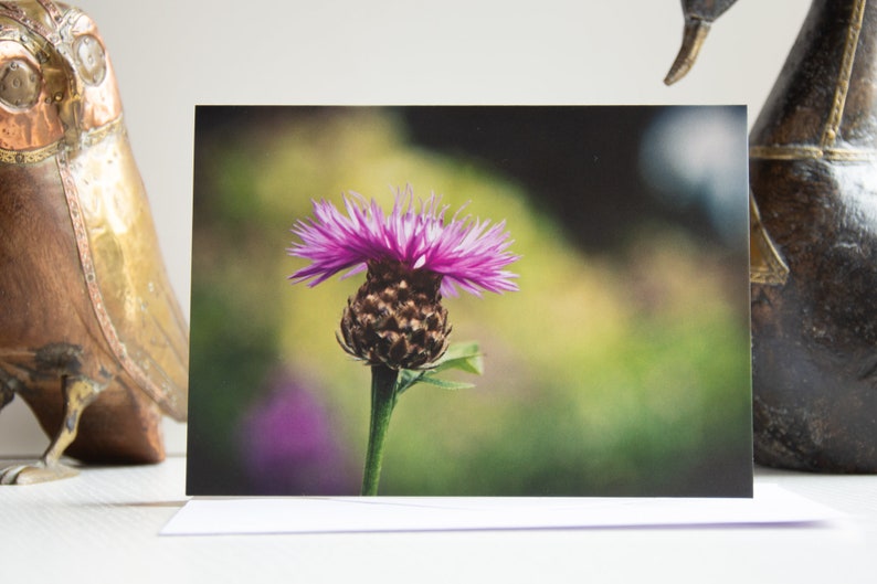 Scottish Thistle Photo Greeting Cards