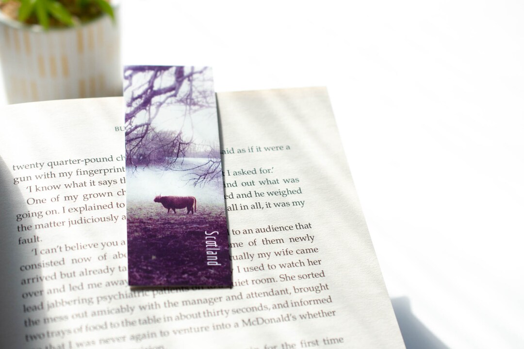 Highland Cow Photo Magnetic Bookmarks Landscape Photography Nature ...