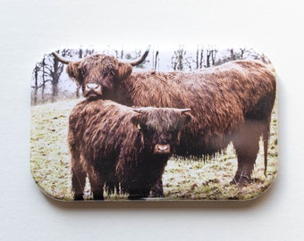 Scottish Highland Cows Photo Magnet | Scotland | Photography | Nature Photography | Cute | Natural Portraits | Homewares | Small Gifts