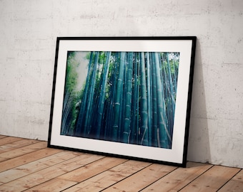 Japanese Travel Photo Prints | Bamboo Grove | Kyoto | Iconic Japan | Nature Photography | Botanical Landscape | Wall Art | Unframed