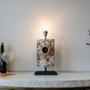 Antique Terracotta Architectural Salvage Wall Panel Element Mounted As Sculptural Table Lamp image 10