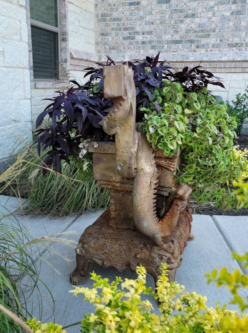 May include: A rusty metal dragon planter with a leafy green plant and a purple plant growing inside. The planter is sitting on a concrete patio.